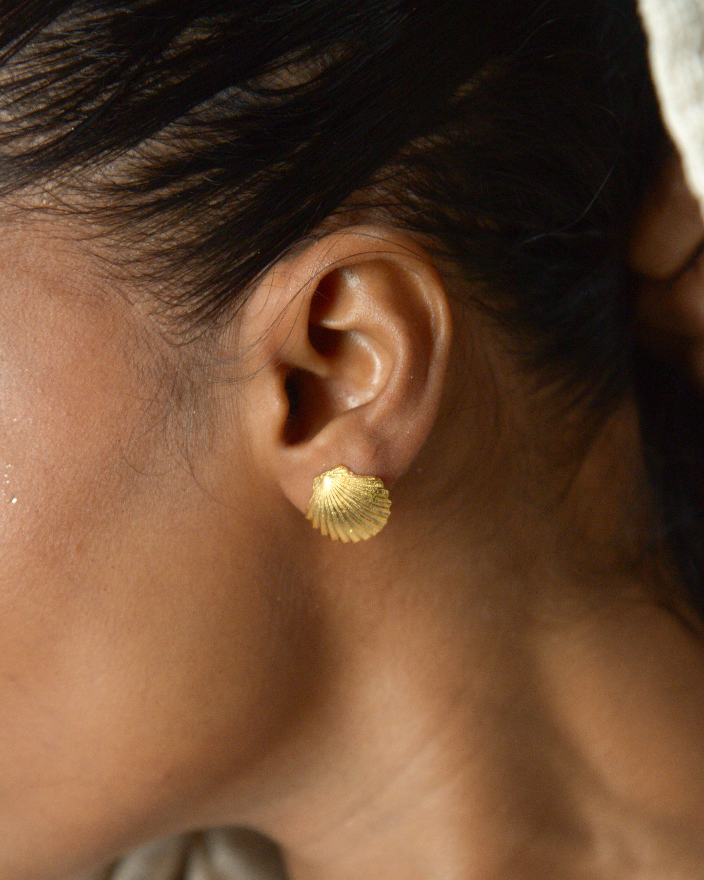Shell Stud I