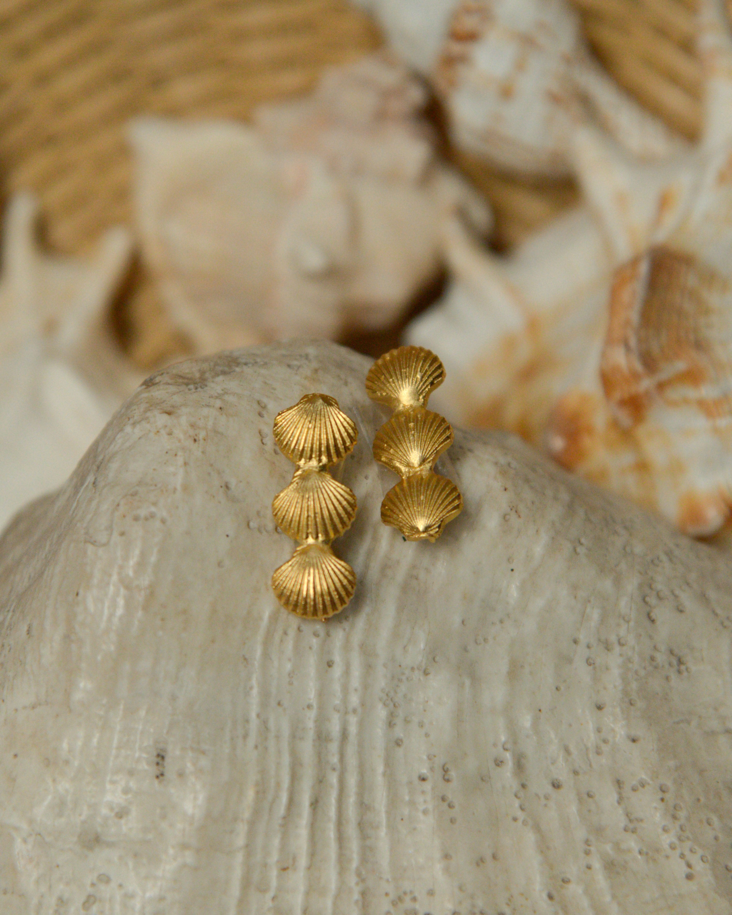 Shell Ear Climber