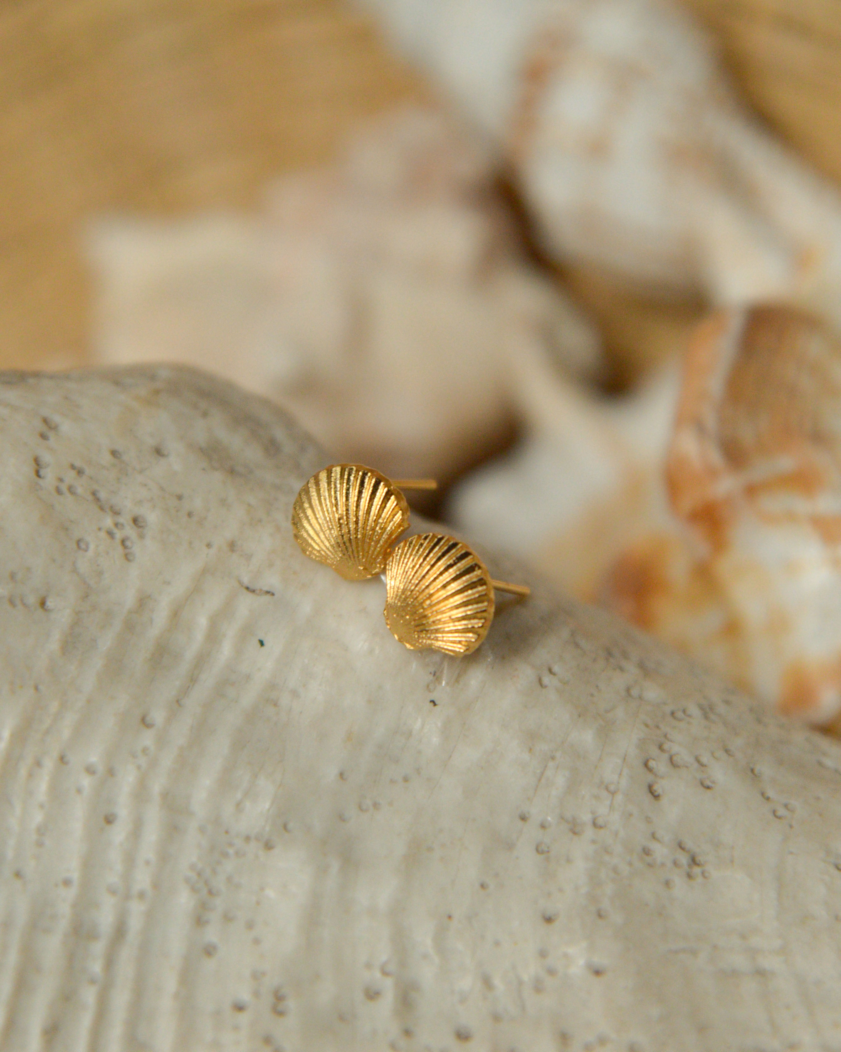 Shell Stud II