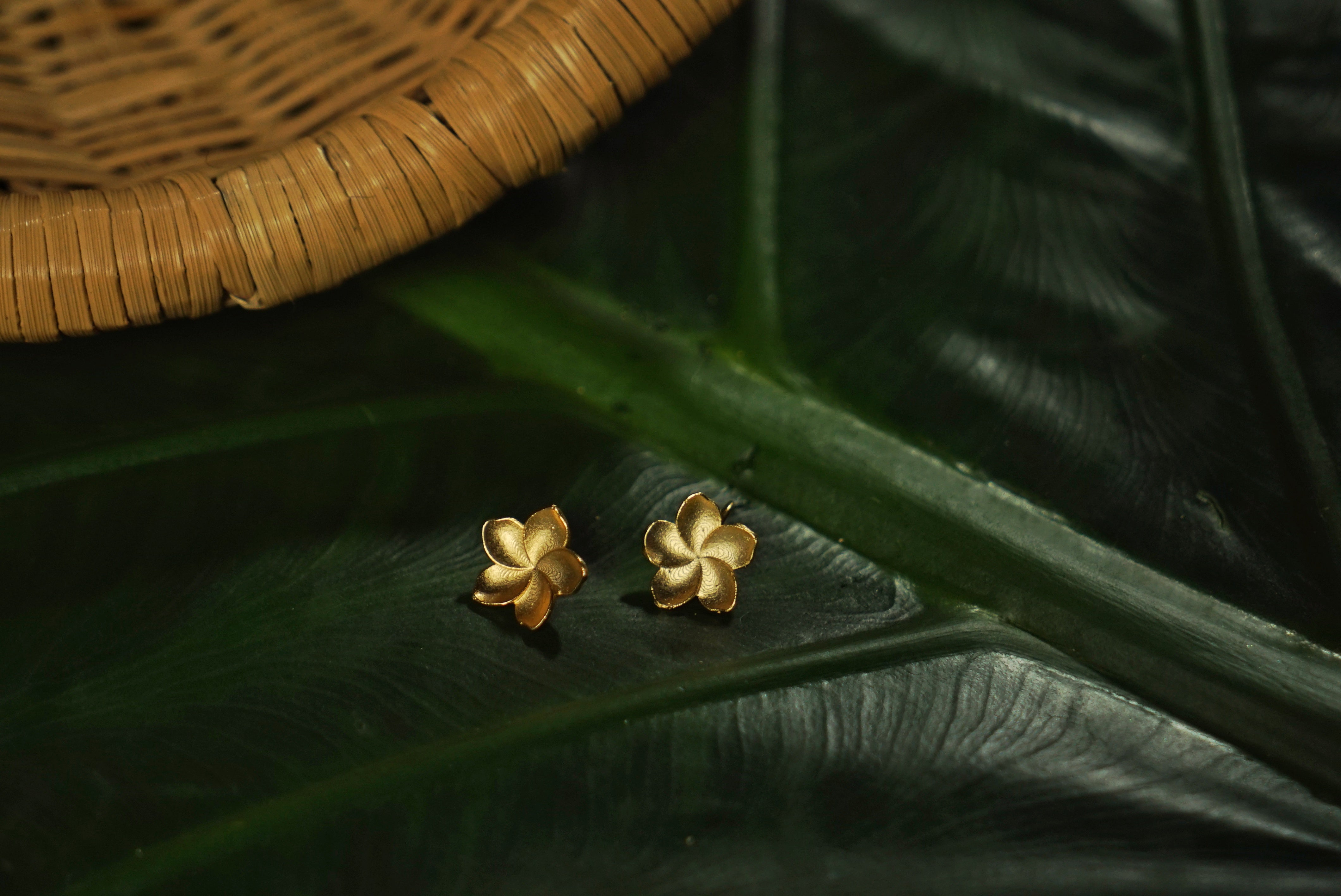Tora Earrings II