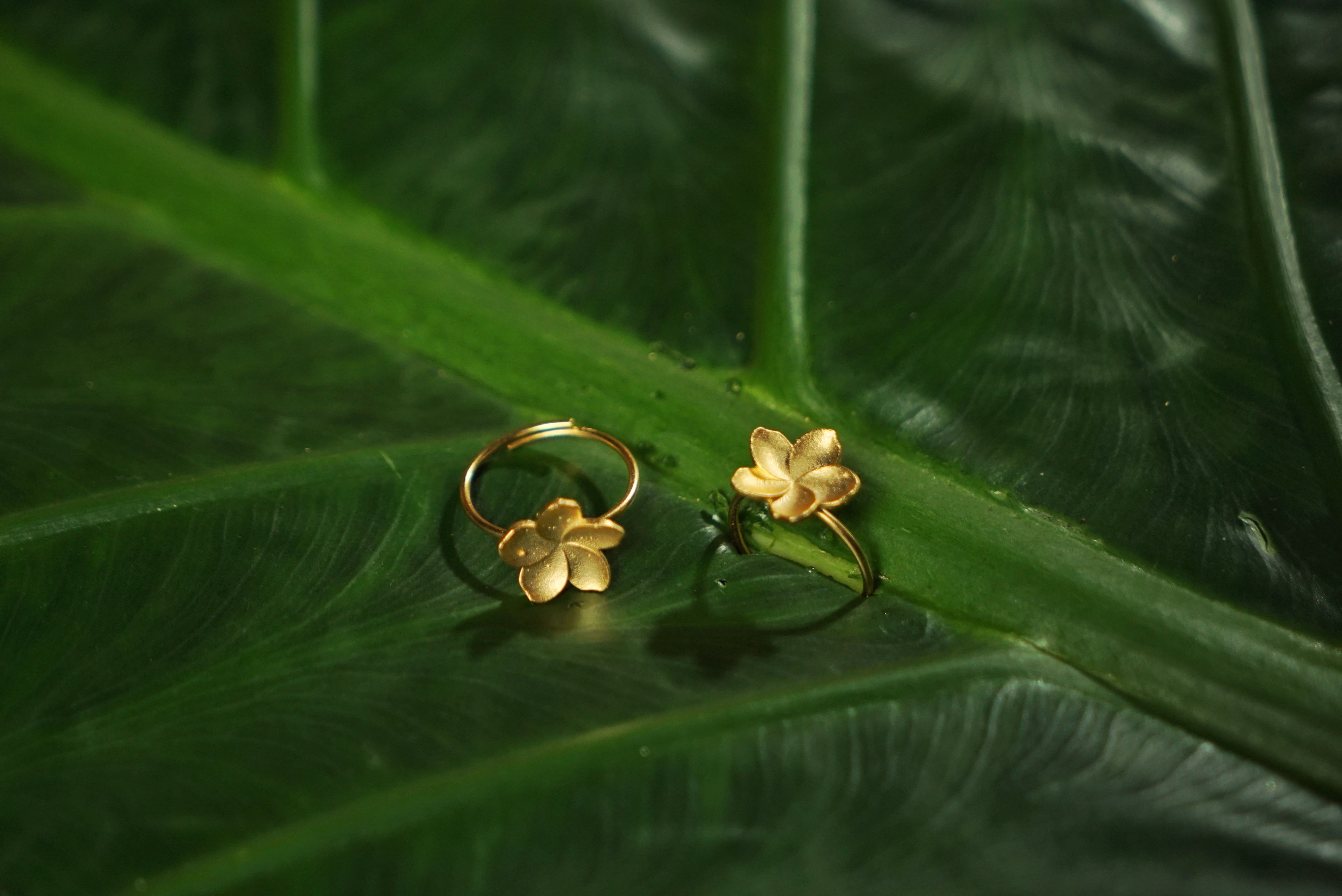 Tora Ring I