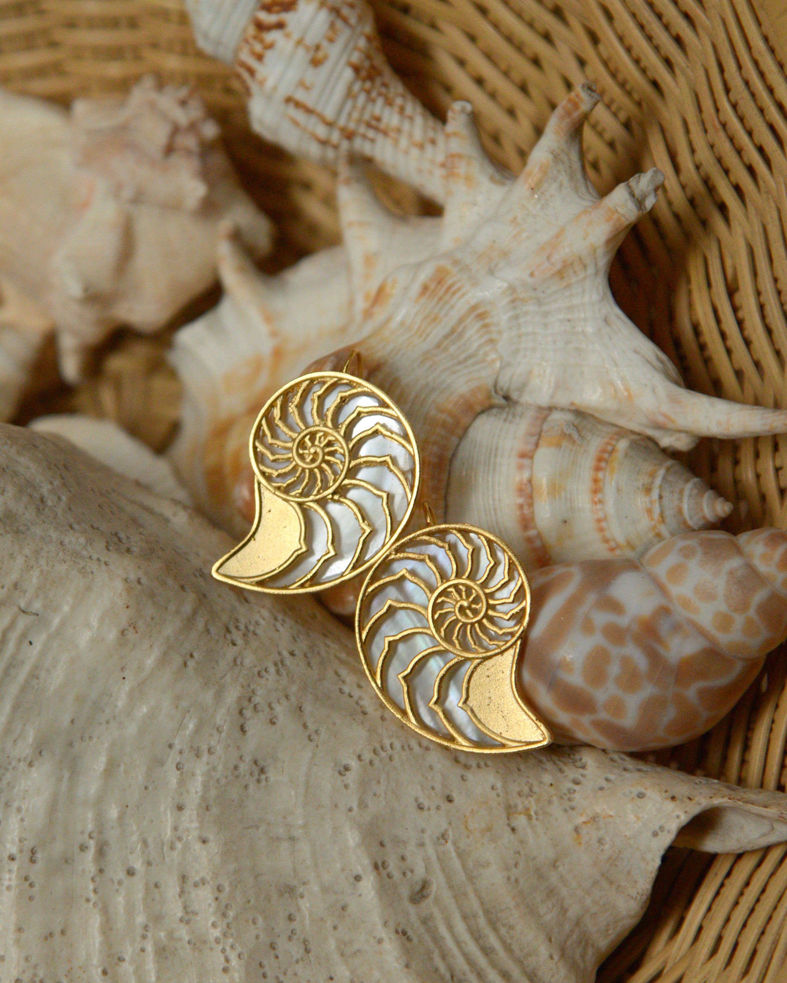 Shell Hook Earrings