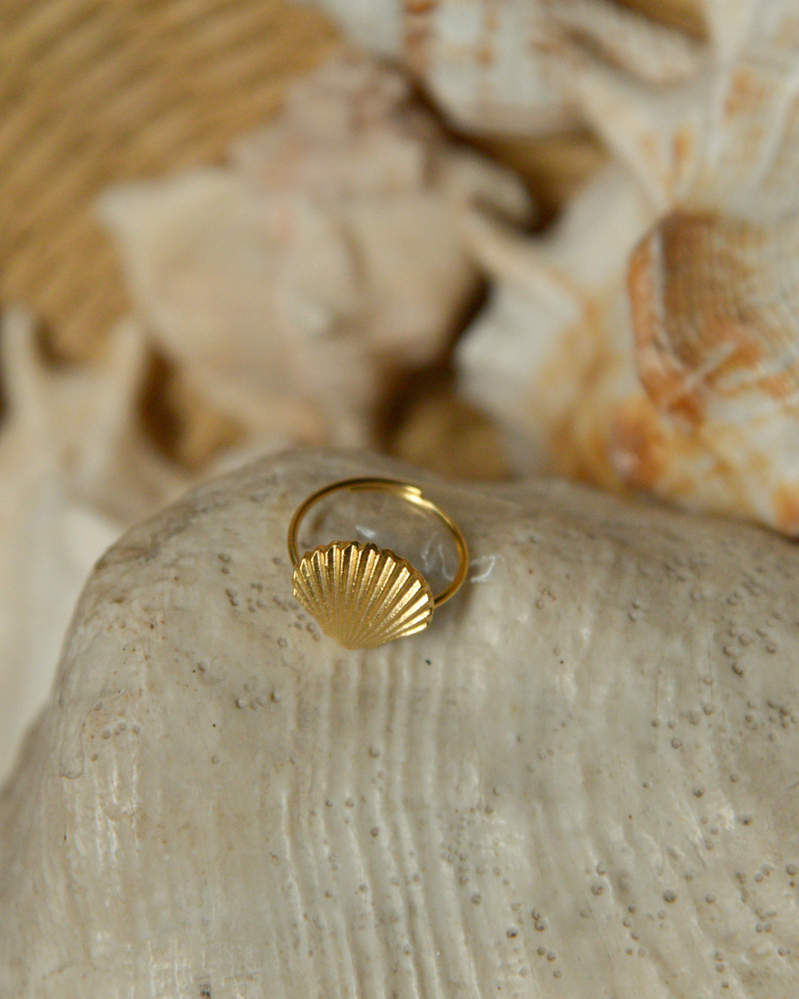Seashell Ring
