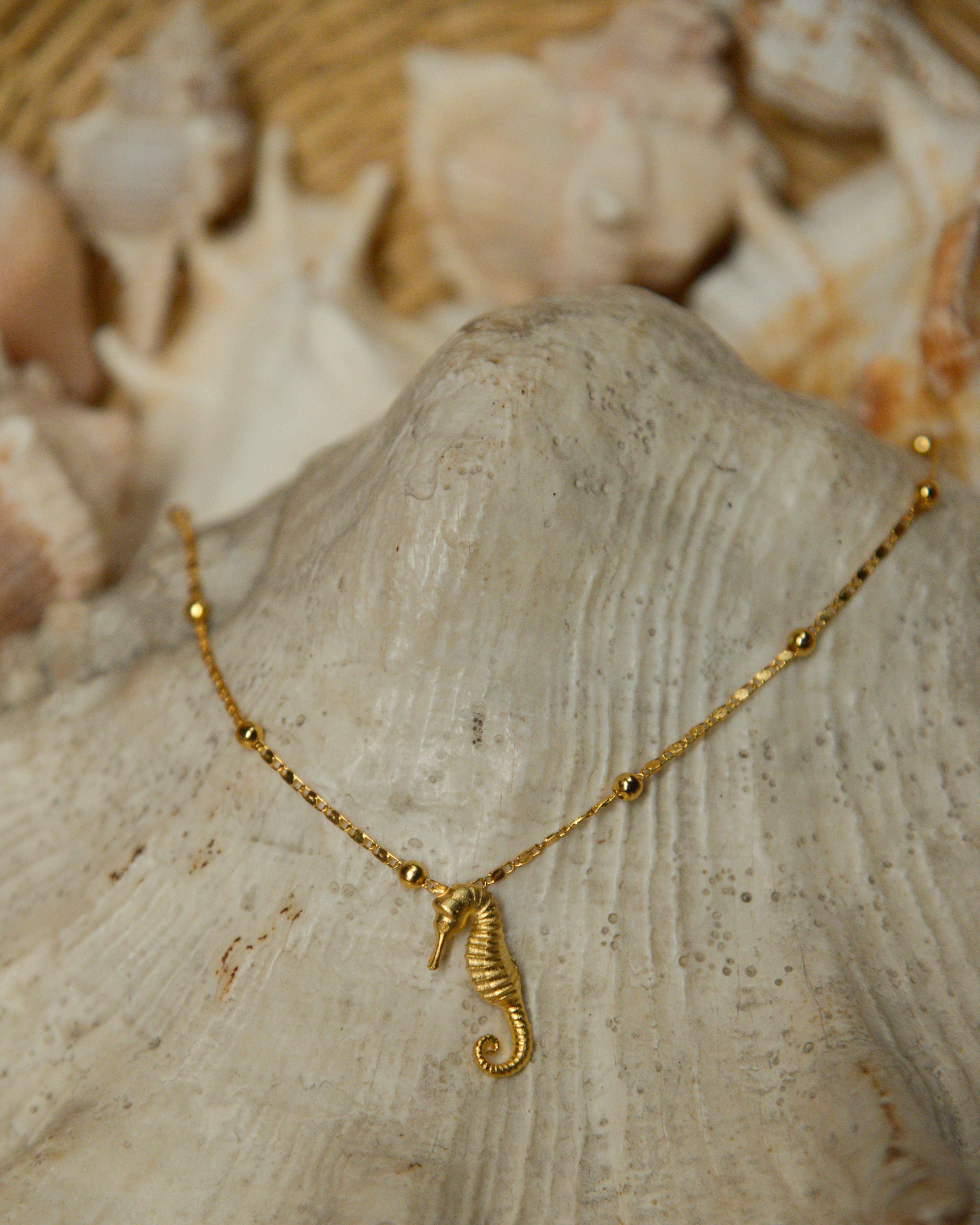 Seahorse Anklet
