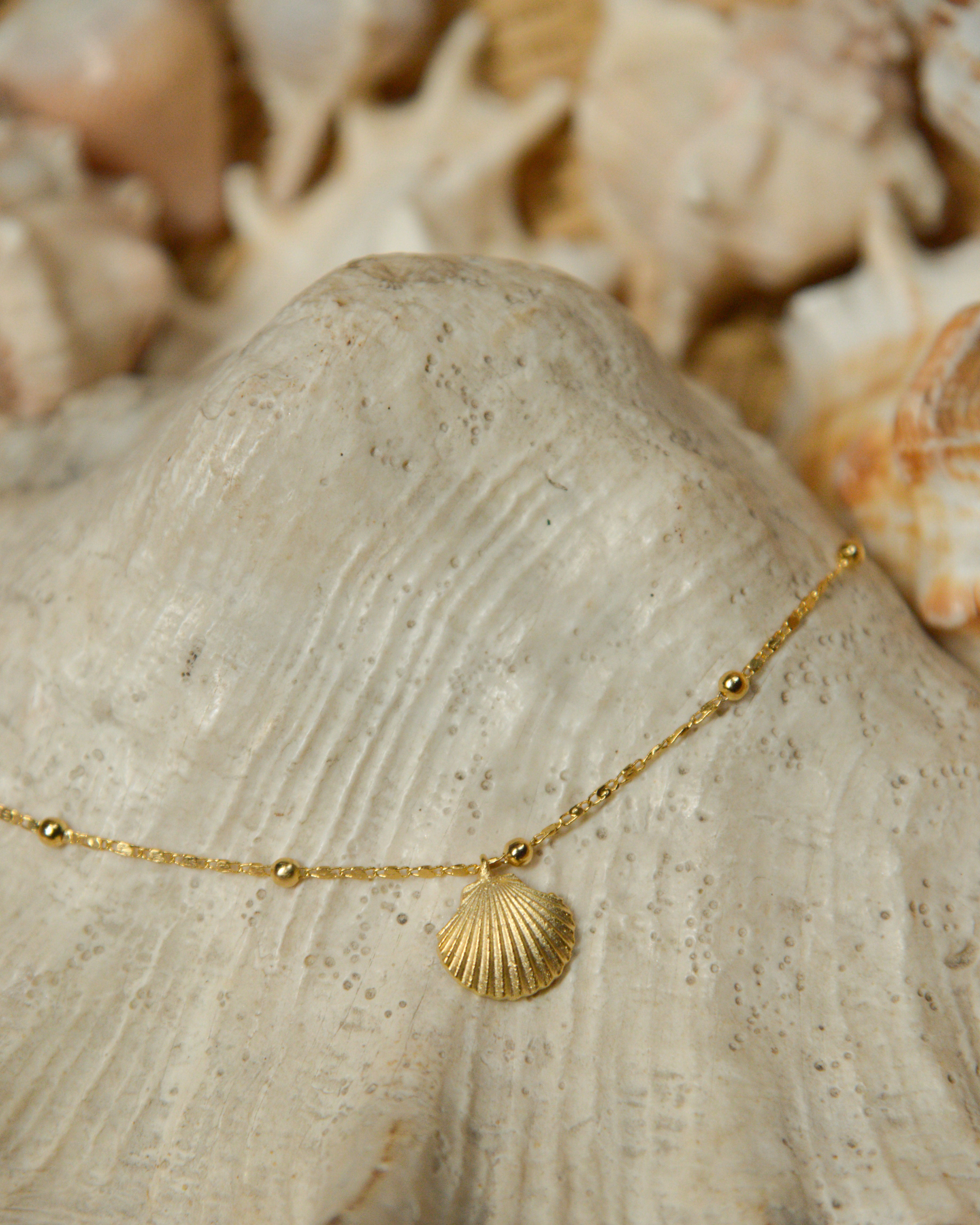 Seashell Anklet