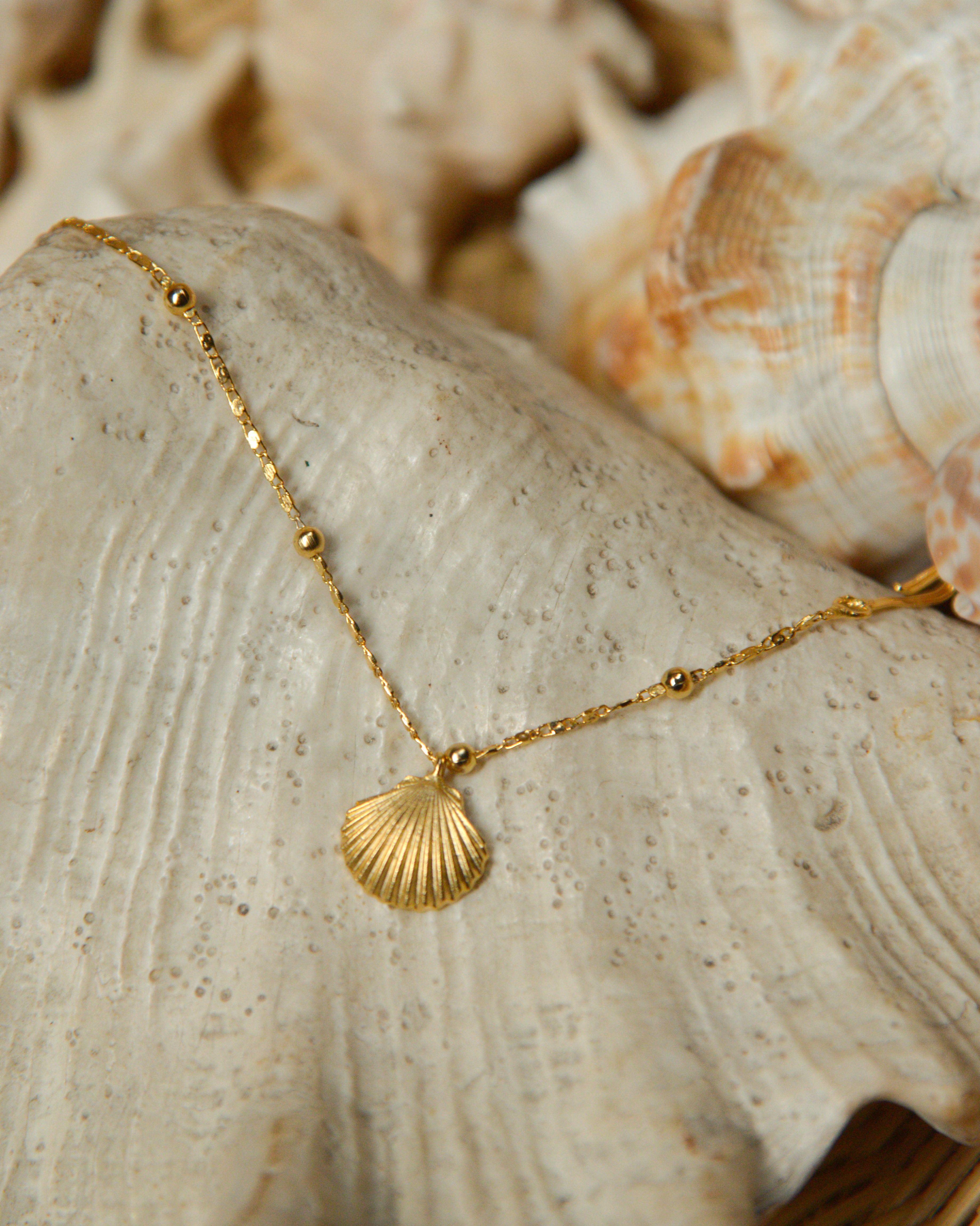 Seashell Bracelet