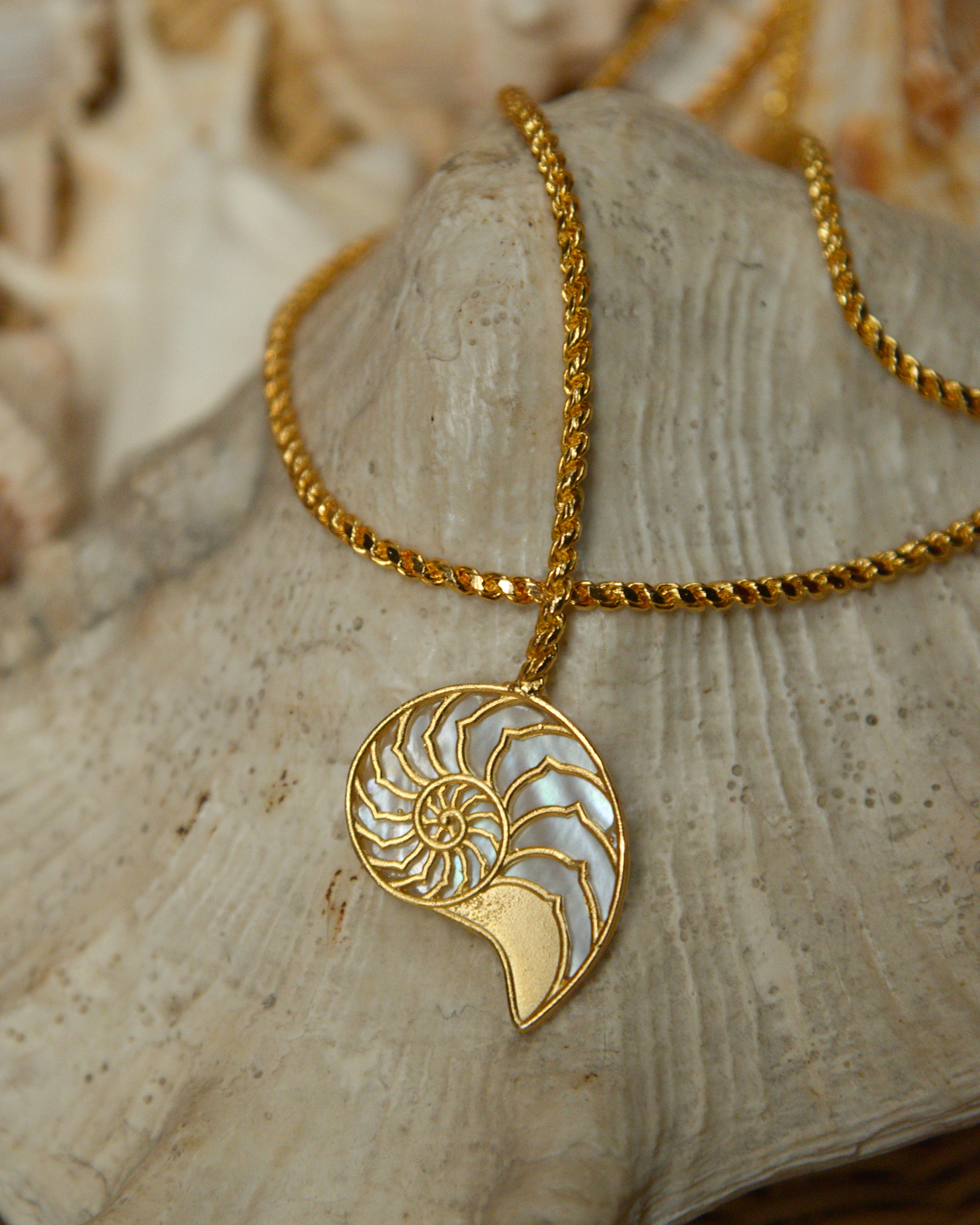 Shell Necklace