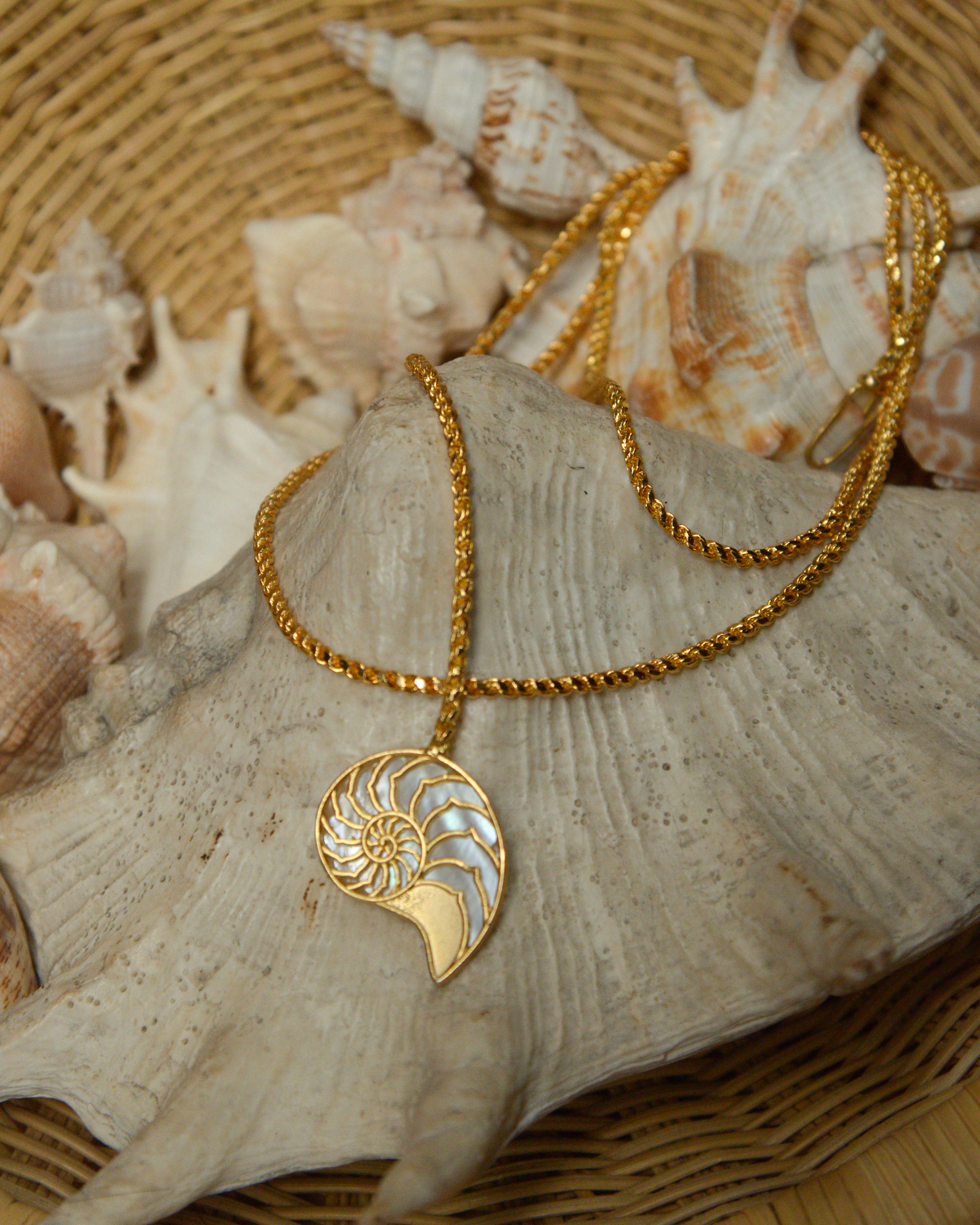 Shell Necklace